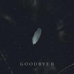 Goodbye II