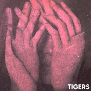 Tigers (Explicit)