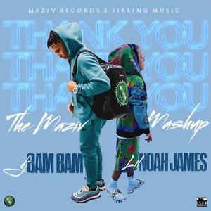 Thank You Mix (Maziv Mashup) (feat. DJ Bam Bam)