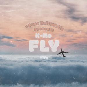 Fly (feat. Minic Audio) (Explicit)