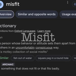 Misfit (Explicit)