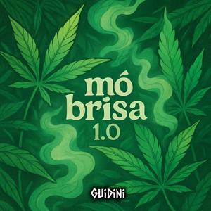 MEGA FUNK MÓ BRISA 1.0 (Explicit)
