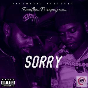 Sorry (Explicit)