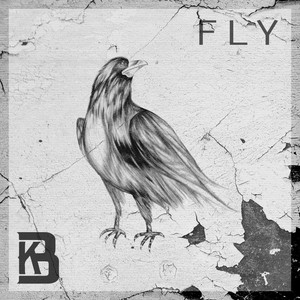 Fly