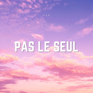 Pas le seul