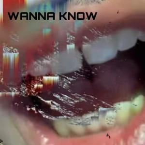 Wanna Know 2 (feat. VZN & JAY) (Remix|Explicit)