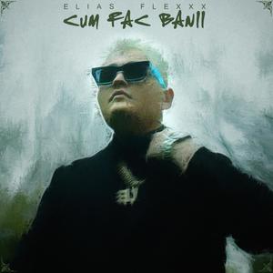 Cum fac Banii (Explicit)