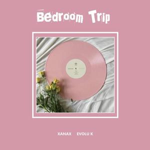 Bedroom Trip