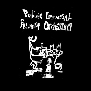 Public Universal Friendship Orchestra