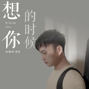 想你的时候