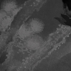 Cant Go 4 Nun (feat. 1banboy & khalifsb) (Explicit)