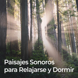 Paisajes Sonoros Para Relajarse Y Dormir