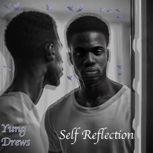 Self Reflection (Explicit)