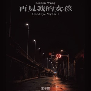 再见我的女孩封面