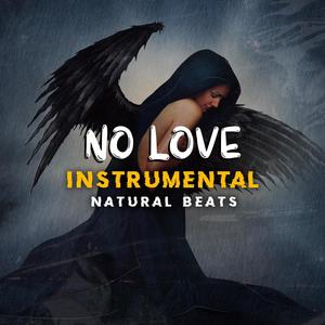 No Love (Instrumental)