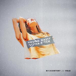 Young Nasty Little ***** (Explicit)