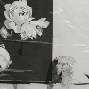 The Garden We Burned