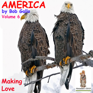 America, Vol. 6. Making Love