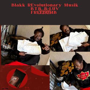 Blakk Revolutionary Musik (Explicit)