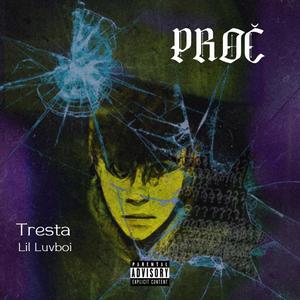 Proč (feat. Lil Luvboi) [Explicit]