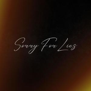 Sorry For Lies