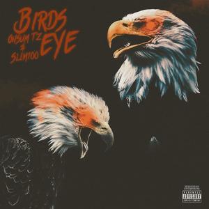 Birds Eye (feat. Slim100) (Explicit)