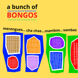 A Bunch of Bongos