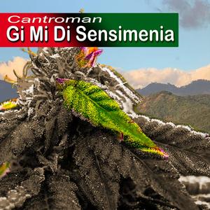 Gi Mi Di Sensimenia (Radio Edit)