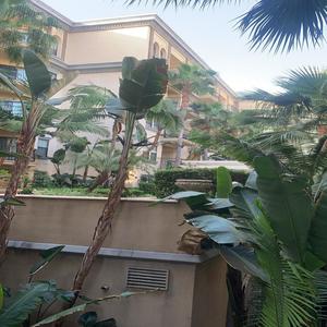 Michelsynn(feat. Tier) (Explicit)