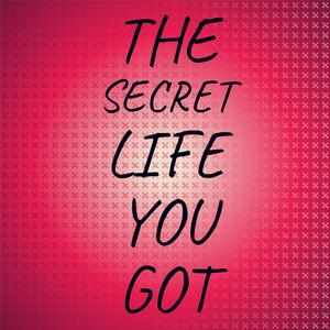 The Secret Life You Got