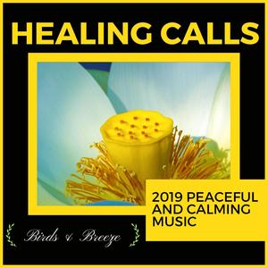 Healing Calls - 2019 Peaceful And Calming Music