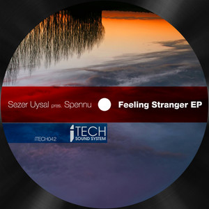 Feeling Stranger Today (Original Mix)