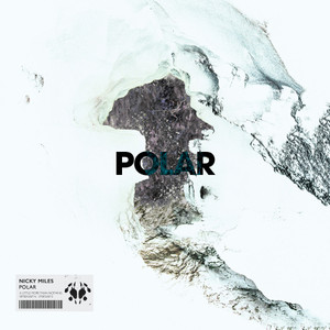 Polar