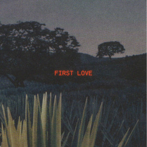 First Love (Explicit)