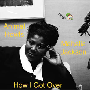 How I Got Over (feat. Petty Roosevelt, Shaolin Kid & Dnightchild) [Explicit]