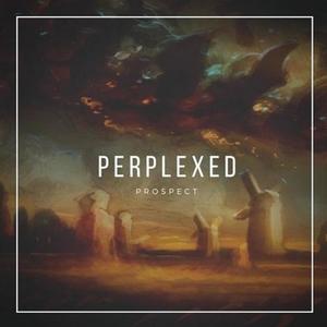Perplexed