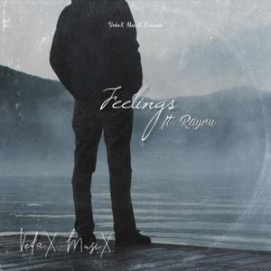 Feelings (feat. Rayru)