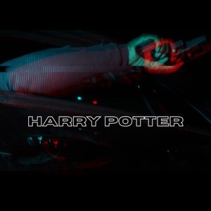 Harry Potter (Explicit)