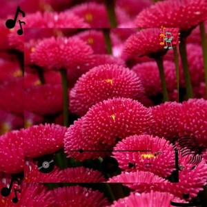 Xelthoryx Moxlyphar (Original Mix)