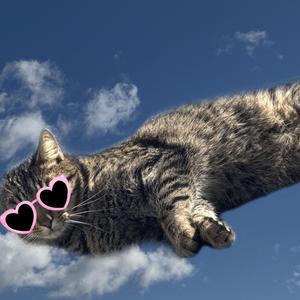 Heart shaped sunglasses (Explicit)