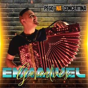 Pego na Concertina