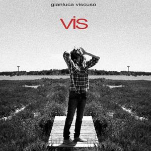 Vis (Explicit)