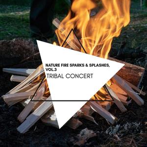 Tribal Concert - Nature Fire Sparks & Splashes, Vol.3