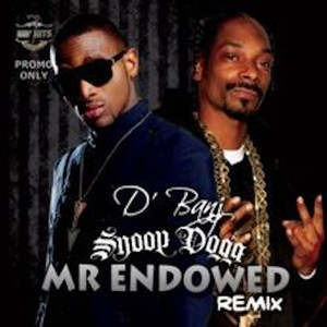Mr Endowed (Remix|Explicit)