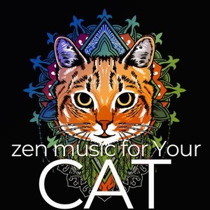 Zen Music for Your Cat