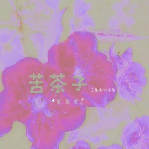 苦茶子 (爱爱爱)