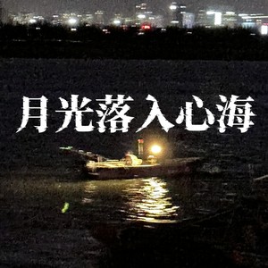 月光落入心海