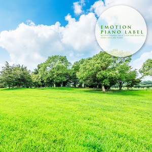 나만의 작은 해변 (Your Own Little Beach) (Nature Ver.)