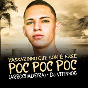 Passarinho Que Som é Esse / Poc Poc Poc (Arrochadeira) [Explicit]