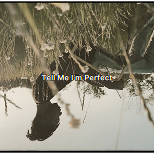Tell Me I’m Perfect (Explicit)